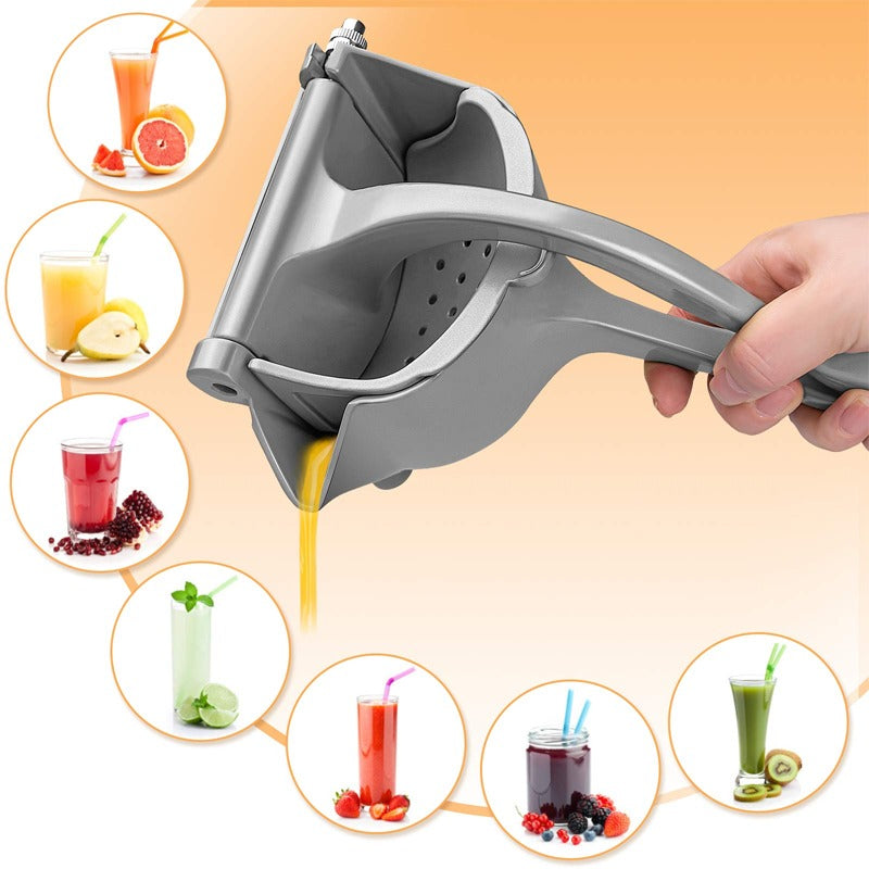 Exclusive Heavy Duty Press Juicer