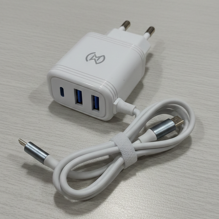WM 27 3.1A Fast Micro USB Charger with Dual USB Ports �Cable & Adapter by WM