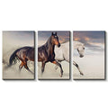 3 Pc Black & White Horse Wall D?or Photo Tiles | Low Quality