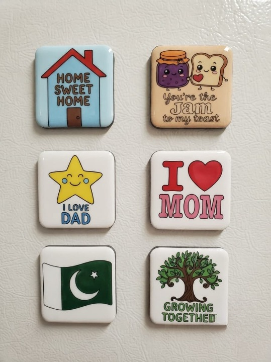 DIY Fridge Magnet Paint Kit
