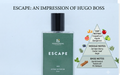Escape Impression of Hugo Boss Bottled