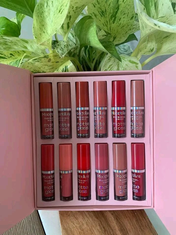 12 Pcs Mocallure High Pigmented Velvet Lip