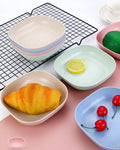 10pcs Plates Set With Holder – photo 1