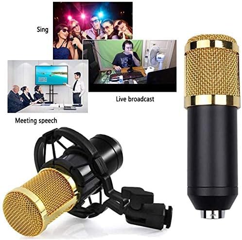 3.1 Professional Condenser Microphone – photo 4