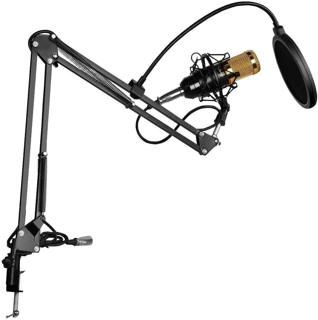 3.1 Professional Condenser Microphone – photo 5