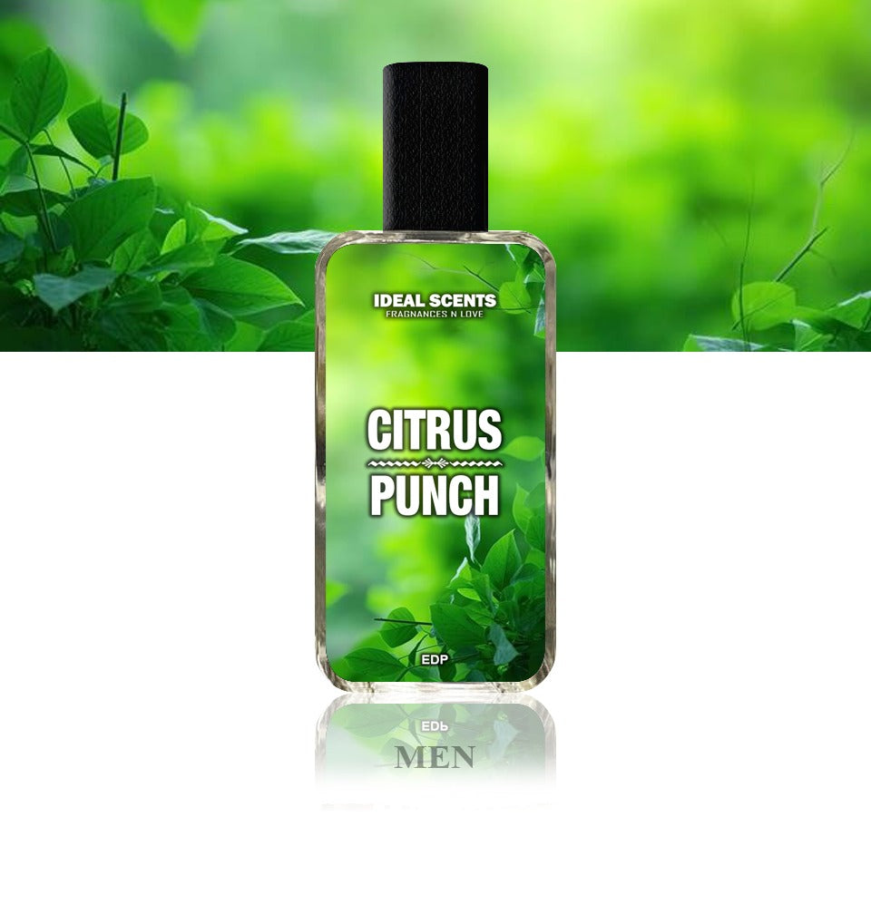 Citrus Punch Fragrance | 50ml | Inspired by Aventus Creed | Long Lasting 8�0 Hours | Made in Pakistan