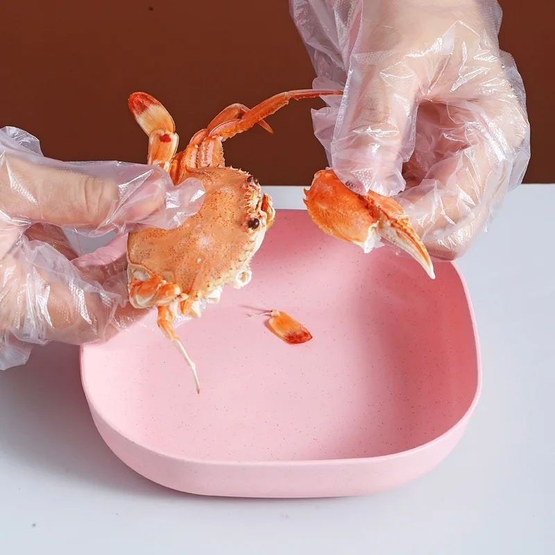 Plate Set Pack of 10 �Plastic Split Bone Dish Plates with Holder (Random Colors)