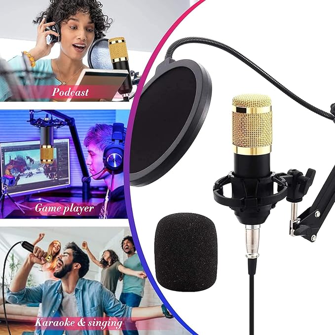 V8 Bm-800 Podcast Mic Set With Live Sound Card,Condenser Microphone With Rechargeable 12 Kinds Of Auxiliary Background For Karaoke Singing, Youtube Recording Mic