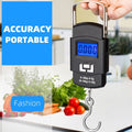 Scale 50Kg 5g LCD Digital Display Handheld Mini Electronic Weighting Scale Fishing And Travel Luggage Scale