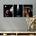 Set of 3 Premium Wall Art Photo
