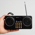 YUEGAN YG-1881BT Portable Digital Music Player with FM Radio, Bluetooth, USB &amp; TF