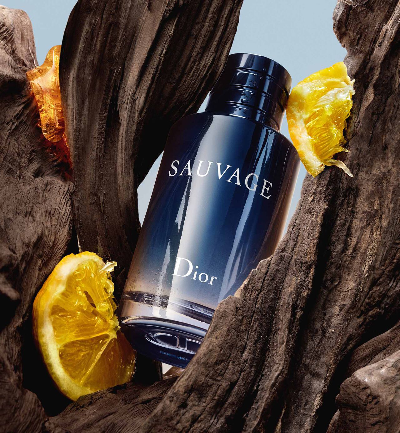 Dior Sauvage Eau de perfume | EDP | Long Lasting Fragrance 8 to 12 hours long lasting 100ml | Best Quality Perfume