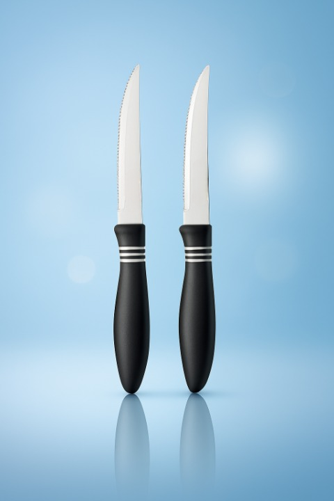 2 Pcs Concord Stainless Steel Kitchen Knife �Multipurpose Table Knife with Serrated Edge, 12 cm (Random color)
