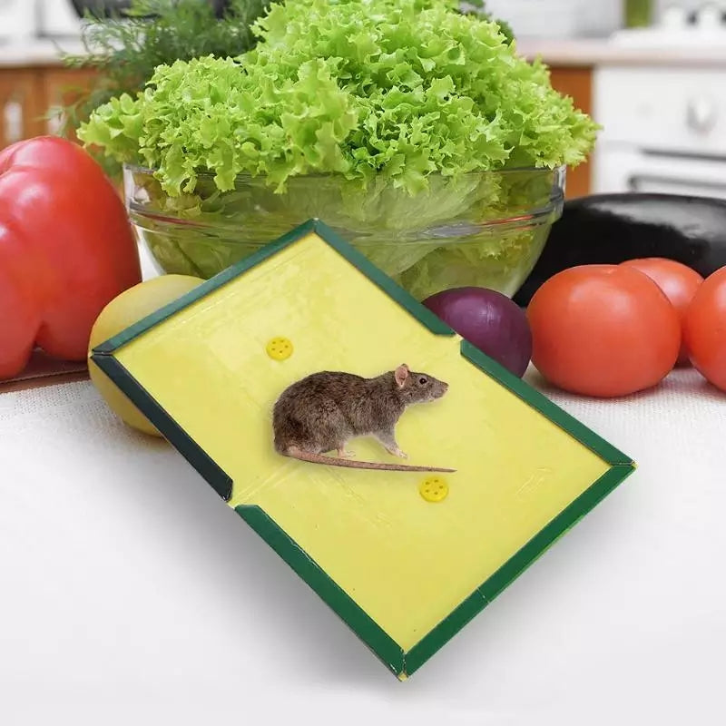 Reusable Expert Catch Mouse &amp; Rat Glue Catch Trap