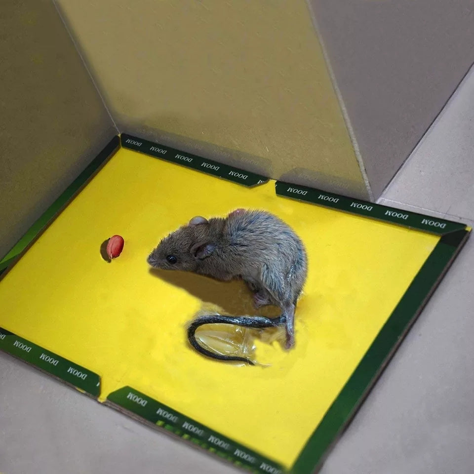 Reusable Expert Mouse &amp; Rat Glue Trap �Heavy Duty, Strong Adhesive, Pre-Baited, Non-Toxic, Odorless, Child-Safe Pest Control for Rodents, Insects, and Bugs