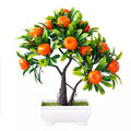 Beautiful Fruit Bonsai Tree for Home Decor - Apple Tree