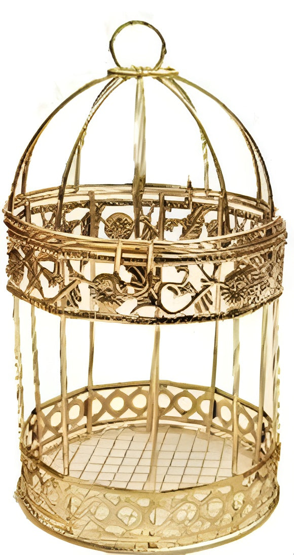 Metallic bird Cages for home decor – photo 2