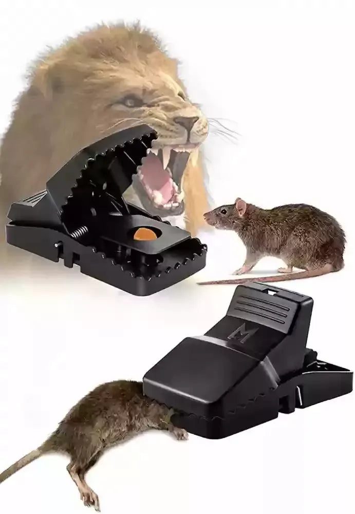 Durable Mouse Trap Pack Of 3 �Reusable Rodent Catcher For Home, Kitchen, And Office Use With Strong Spring Mechanism And Easy Setup