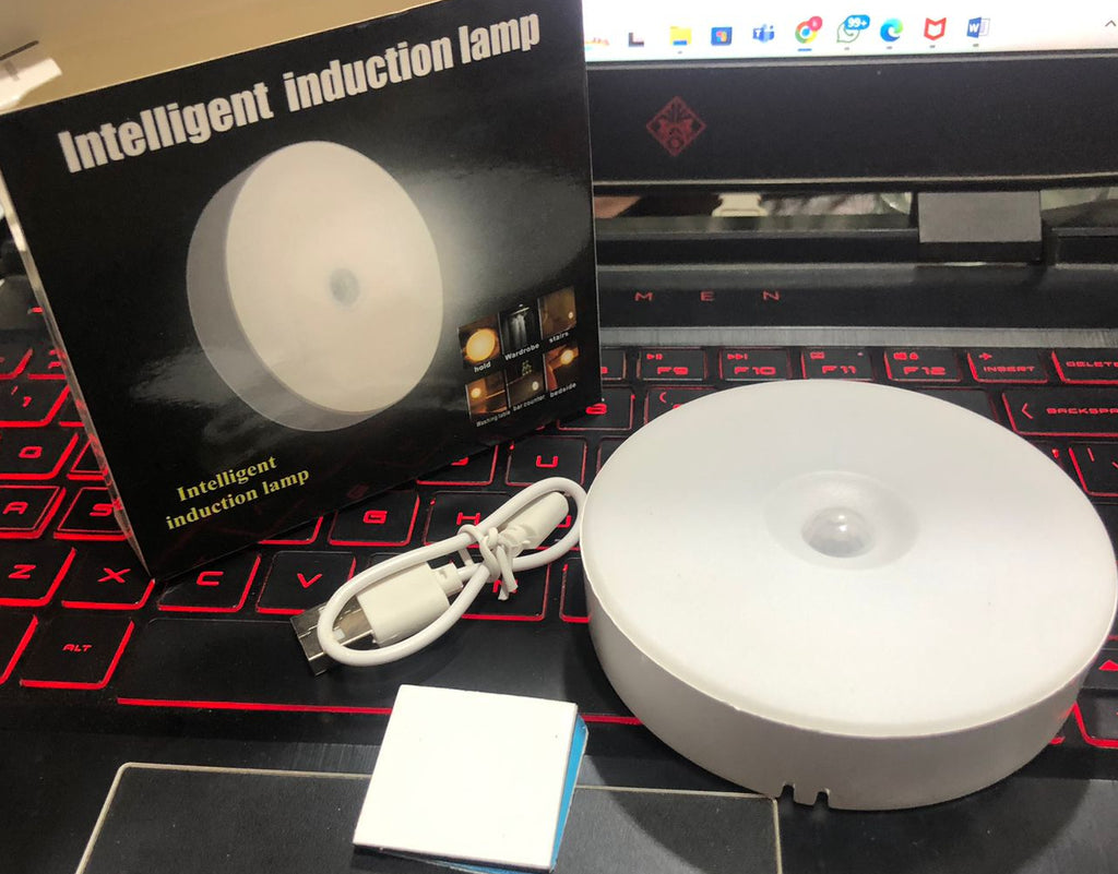 Intelligent induction SENSOR LED Light LAMP