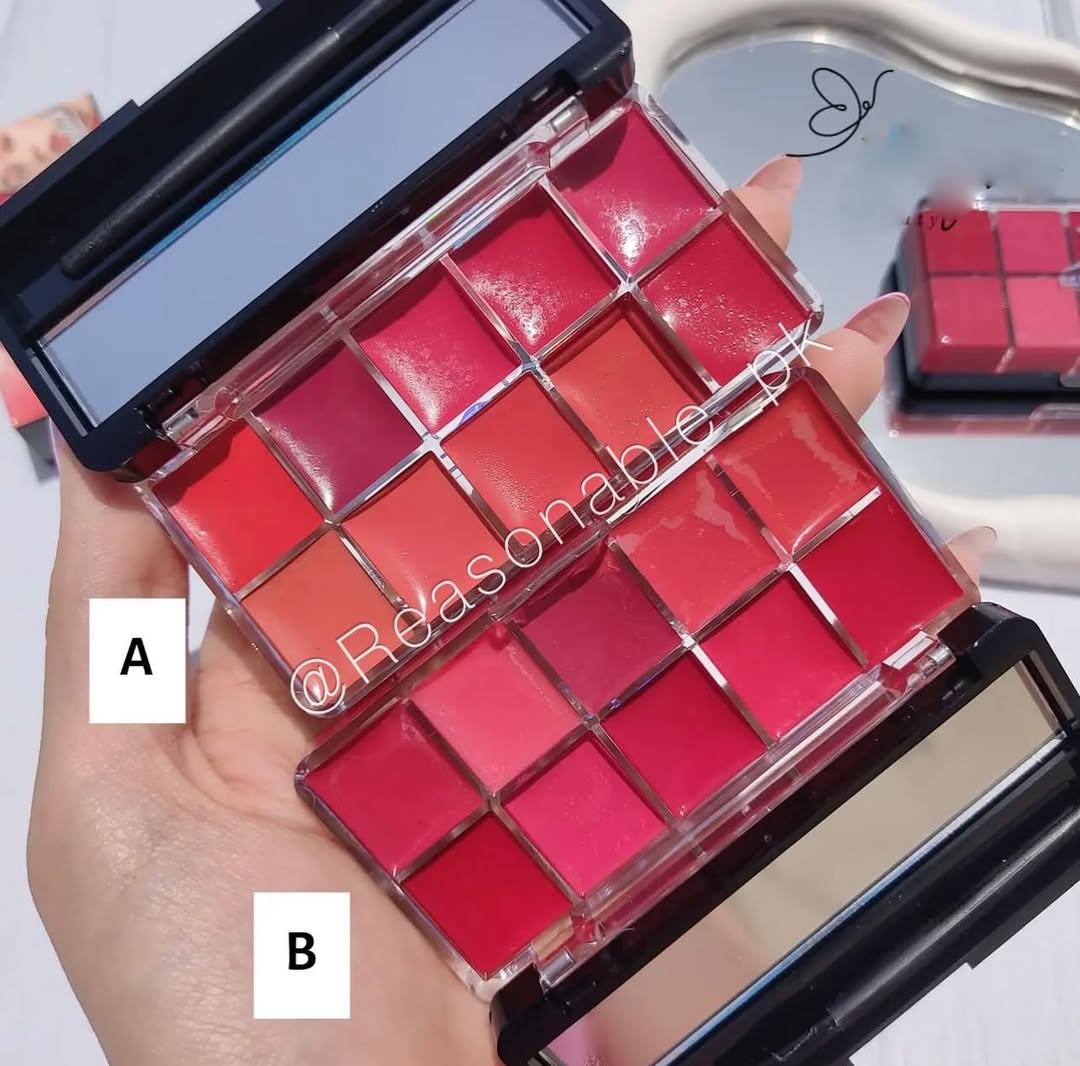 10 in 1 Lipstick & Blush Palette – photo 3