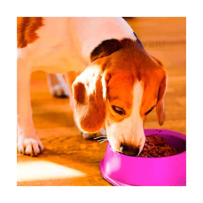 round Shaped food bowl Pet Plastic food – photo 2