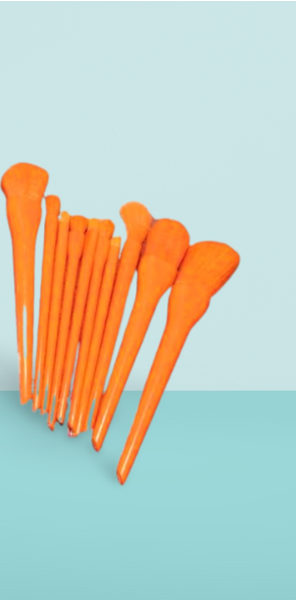 10 Pcs Professional Makeup Brush Set �Face, Eyes &amp; Lips | Concealer, Blush, Eyeshadow, Highlighter | Orange &amp; Green Colors